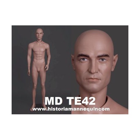 Male Mannequin MD TE42